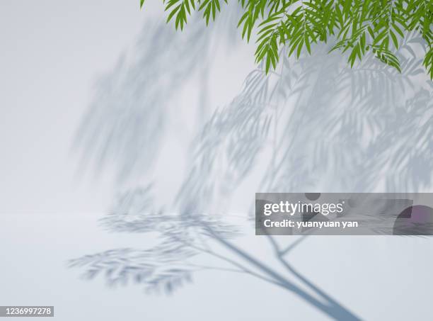 3d rendering exhibition background - leaves white background stockfoto's en -beelden