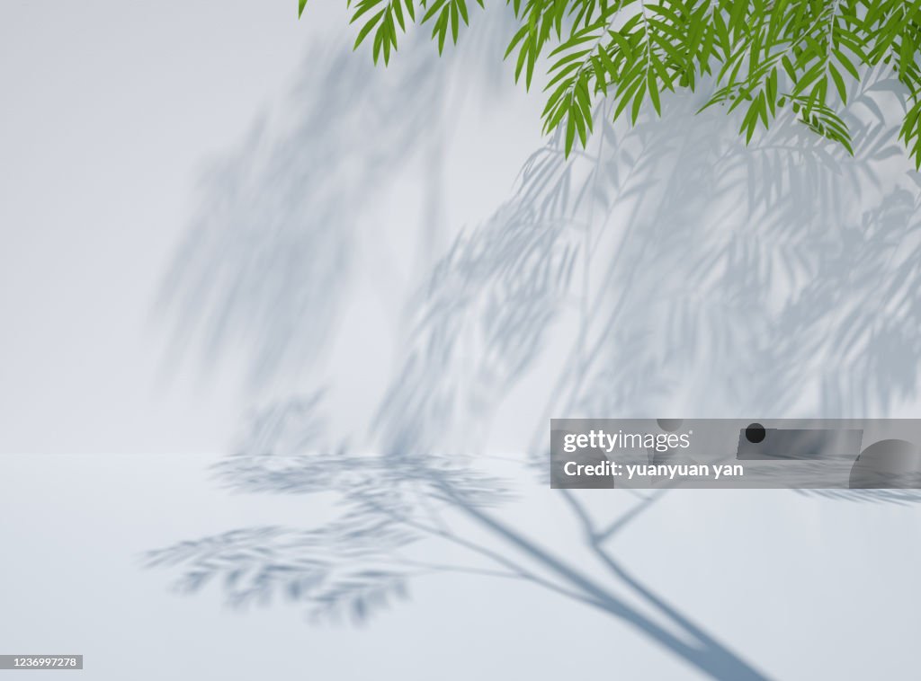 3D rendering exhibition background