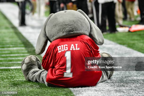 Alabama mascot "Big Al" sits on the field after a touchdown is scored during the SEC Championship college football game between the Alabama Crimson...