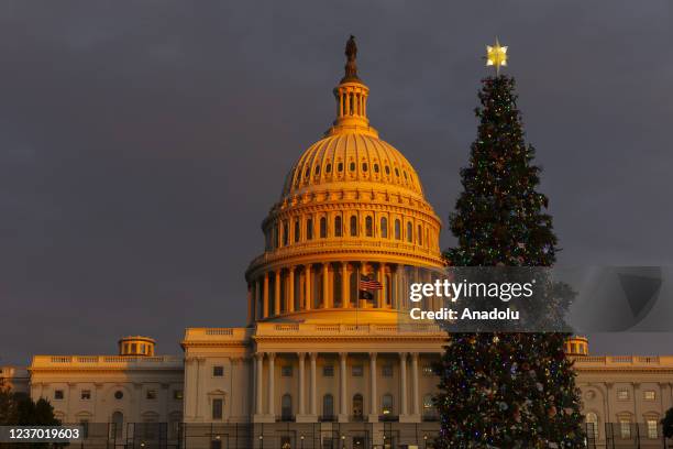 The U.S. Capitol and Christmas tree stands at sunset on December 03, 2021 in Washington, DC.