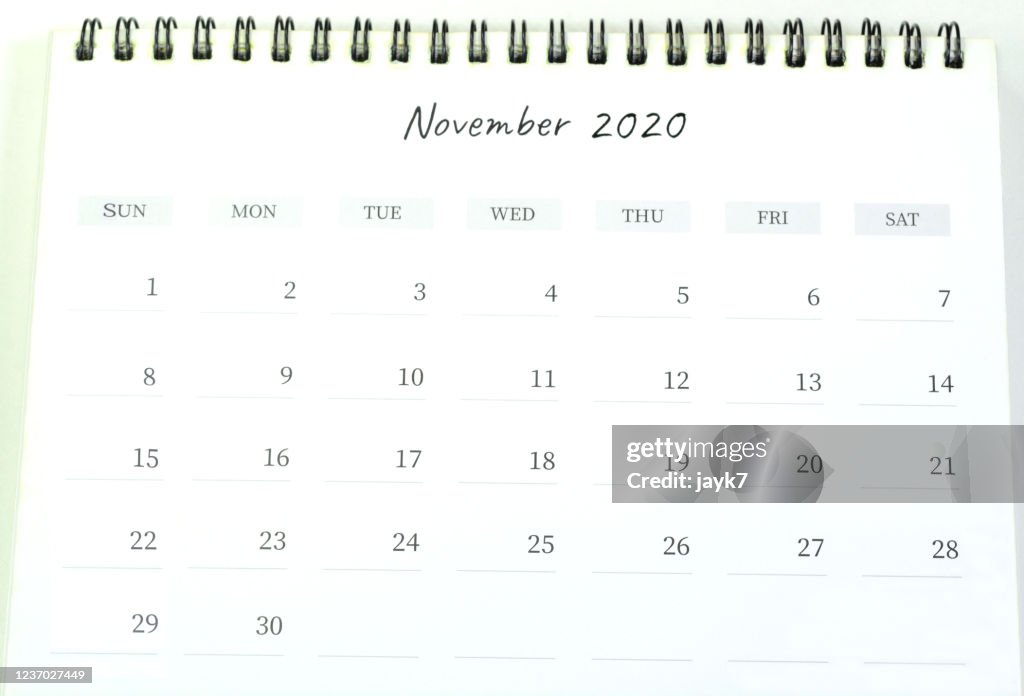 November Month Calendar
