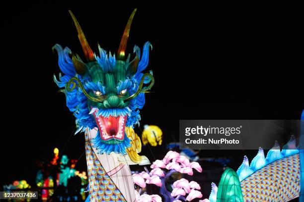 The head of the dragon. After being organized in Gaillac, the Lanterns festival is now organized in the city of Blagnac in the suburbs of Toulouse....