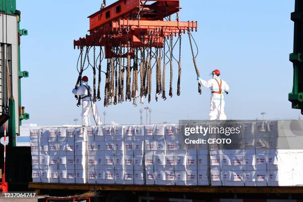 View of Qingdao Port in East China's Shandong province, Dec 7, 2021. In the first 11 months of this year, China's import and export value was 35.39...