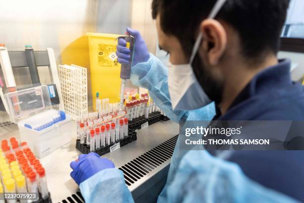 Virology Lab Setup Virology Lab Photos and Premium High Res Pictures - Getty Images
