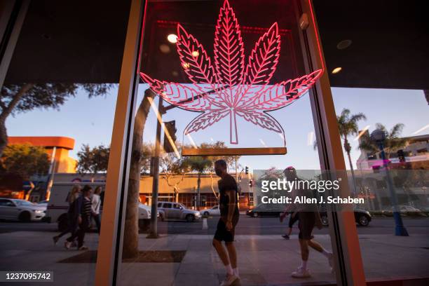 The Artist Tree Dispensary & Weed Delivery West Hollywood on Thursday, Nov. 4, 2021 in West Hollywood, CA. The dispensary is also an art gallery,...