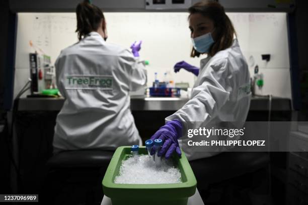 1,948 Tree Laboratory Stock Photos, High-Res Pictures, and Images ...