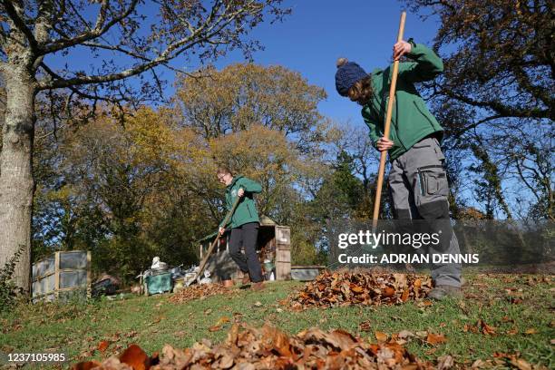Shannon Gardner Photos and Premium High Res Pictures - Getty Images