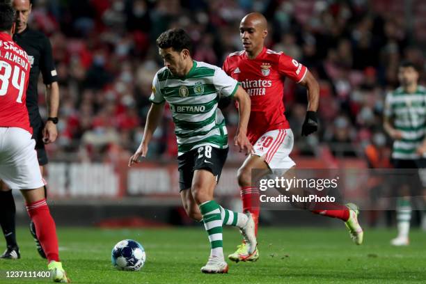 Pedro Goncalves of Sporting CP vies with Joao Mario of SL Benfica during the Portuguese League football match between SL Benfica and Sporting CP at...