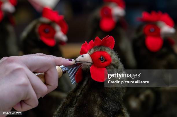 December 2021, Saxony-Anhalt, Bad Kösen: At Bad Kösener Spielzeug Manufaktur GmbH, Yvonne Himmel prepares the plush Isolde hen for shipping. Delivery...