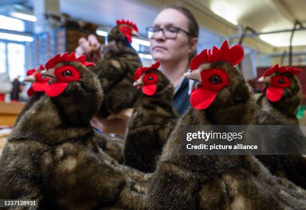 December 2021, Saxony-Anhalt, Bad Kösen: At Bad Kösener Spielzeug Manufaktur GmbH, Yvonne Himmel prepares the plush Isolde hen for shipping. Delivery...