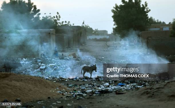 Wastes burn next to a donkey in Gao on December 4, 2021. - France's anti-jihadist military force in the Sahel region, which today involves over 5,000...