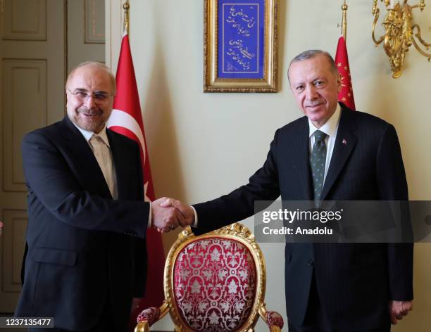 Turkish President Recep Tayyip Erdogan receives Iranian Parliament Speaker Mohammad Bagher Ghalibaf at Dolmabahce Palace, in Istanbul, Turkey on...