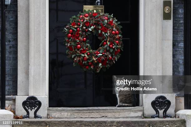 Larry sits underneath a Christmas wreath on the door of number 10 Downing Street on December 11, 2021 in London, England. Number 10 has cancelled its...