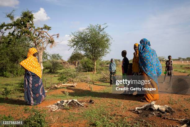 Family stands amoung the bodies of their sheep that died due to drought, shortly before the rains came on December 9, 2021 in Garissa County, Kenya....