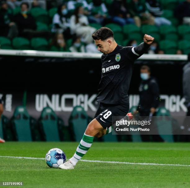 Pedro Goncalves of Sporting CP during the Liga Bwin match between Sporting CP and Boavista FC at Estadio Jose Alvalade on December 11, 2021 in...