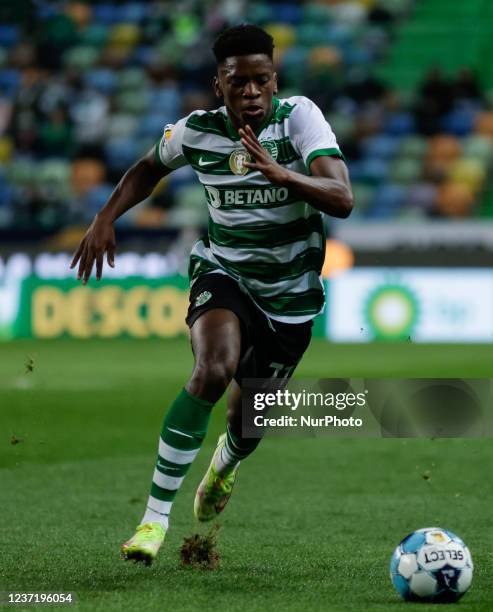 Flavio Nazinho of Sporting CP during the Liga Bwin match between Sporting CP and Boavista FC at Estadio Jose Alvalade on December 11, 2021 in Lisbon,...