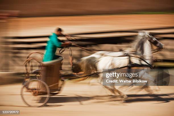roman army and chariot experience - chariot stockfoto's en -beelden