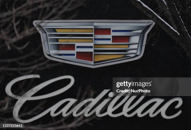 10 234点のキャデラックのストックフォト Getty Images 10 234点のキャデラックのストックフォト Getty Images