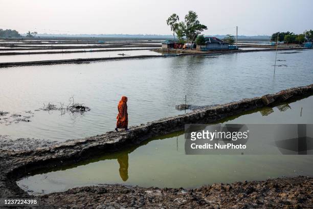 Woman walks on the isle of shrimp farms in shatkhira, Bangladesh. Coastal areas in Bangladesh are on the 'front line' of climate change, directly...
