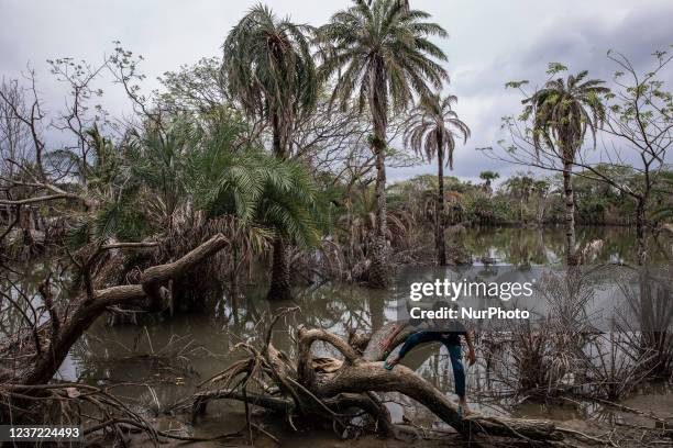 Landscape of Shatkhira- after being hit by the recent cyclon Amphan, near the coastal area. Bangladesh, for its geographical location, is one of the...