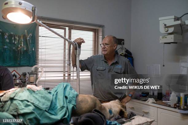 Peter Rourke Veterinary Debbie Rogers Photos and Premium High Res Pictures - Getty Images