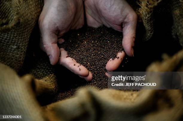 An employee buries her hands in a bag of mustard seeds at the Fallot mustard shop in Dijon on December 14, 2021.