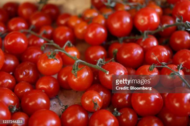 Cherry tomatoes at Borough Market in London, U.K., on Wednesday, Dec. 15, 2021. U.K. Inflation surged to its highest level in more than a decade in...