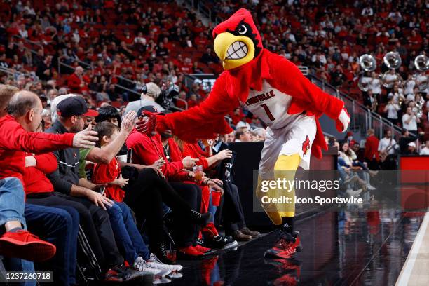 Louisville Cardinals mascot Louie greets fans sitting courtside during a college basketball game against the DePaul Blue Demons on Dec. 10, 2021 at...