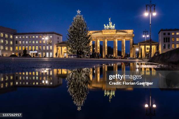 The illuminated christmas tree is pictured in front of the Brandenburg Gate during blue hour on December 15, 2021 in Berlin, Germany.