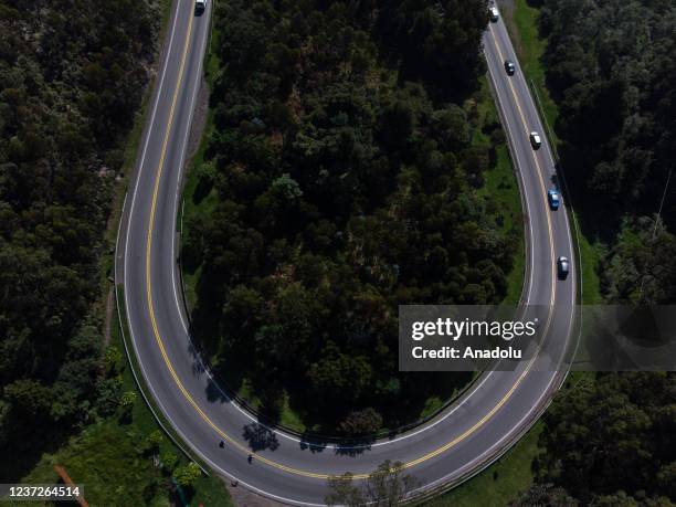 Group of young university students between the ages of 17 and 21 practice an extreme sport called longboarding, which consists of descending on...