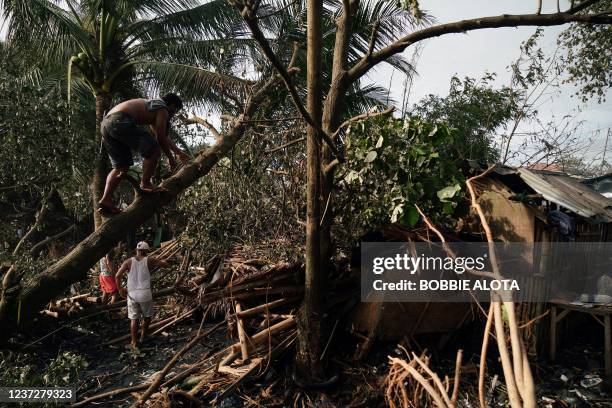 Resident climbs on a fallen tree next to a destroyed house in the coastal town of Dulag in Leyte province on December 17 a day after Super Typhoon...