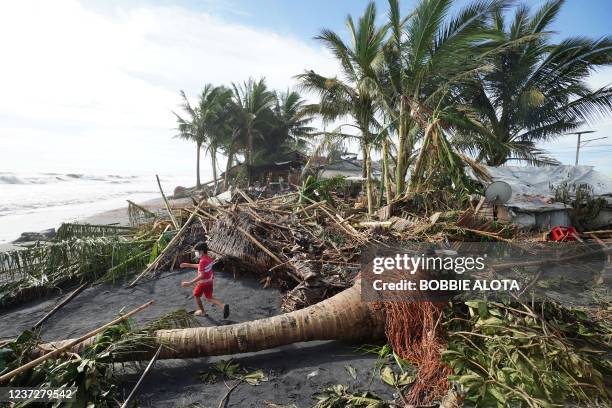 Child plays next to uprooted coconut and banana trees in the coastal town of Dulag in Leyte province on December 17 a day after Super Typhoon Rai hit.