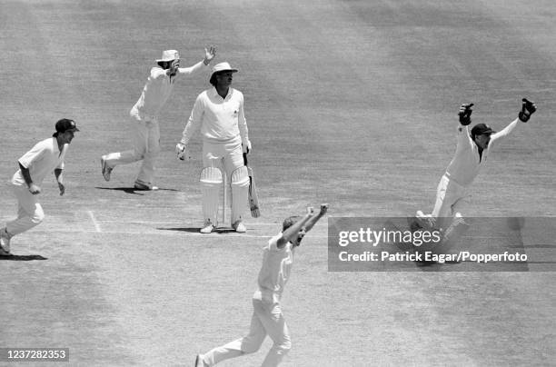 Ian Botham of England is caught for a first-ball duck by Dirk Wellham of Australia off the bowling of Peter Taylor on day five of the 5th Test match...