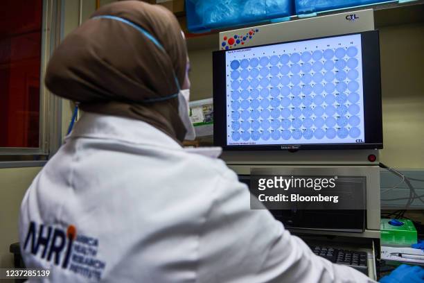 Technician inspects scans of platelets on a monitor during Covid-19 antibody neutralization testing in a laboratory at the African Health Research...