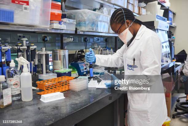 Technician uses a multi-channel pipette dropper to dispense material during Covid-19 antibody neutralization testing in a laboratory at the African...