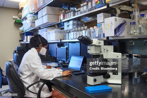 39,332 Africa Laptop Stock Photos, High-Res Pictures, and Images ...