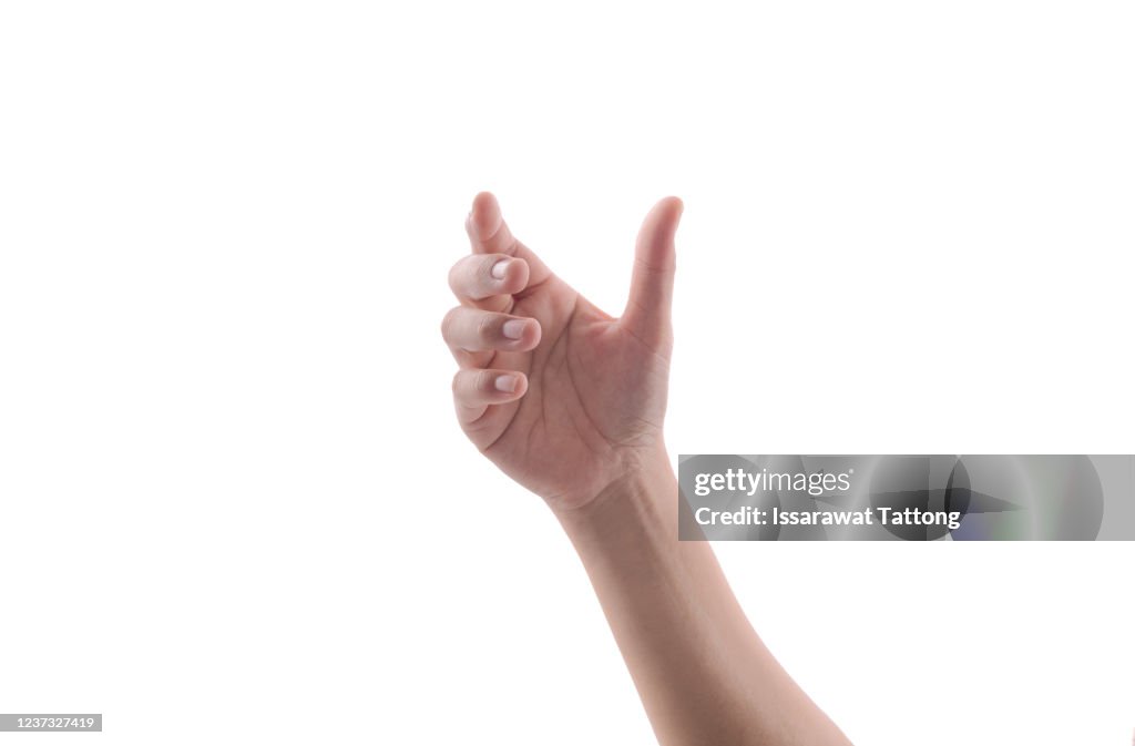 Woman's hands holding something empty isolated on white background.