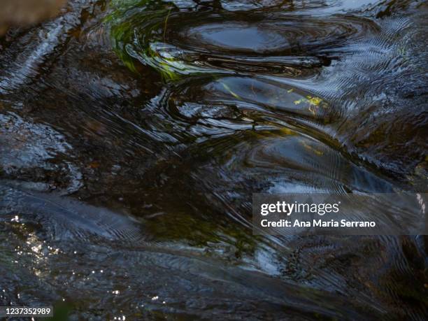 Definition Of Torrent Photos and Premium High Res Pictures - Getty Images