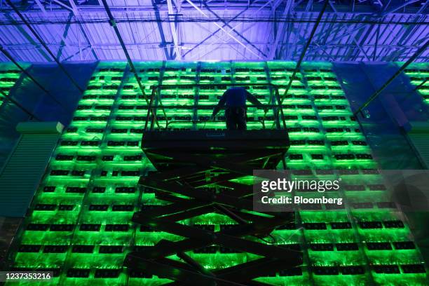 Technician on a cherry picker inspects racks of illuminated mining rigs at the Minto cryptocurrency mining center in Nadvoitsy, Russia, on Friday,...