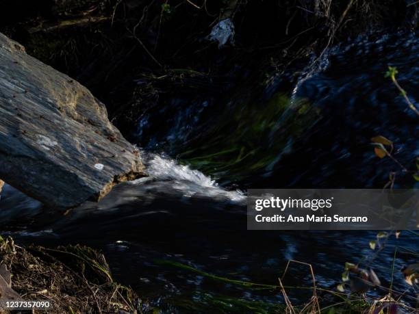 Definition Of Torrent Photos and Premium High Res Pictures - Getty Images