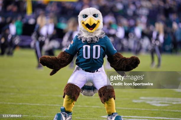 philly eagles mascot