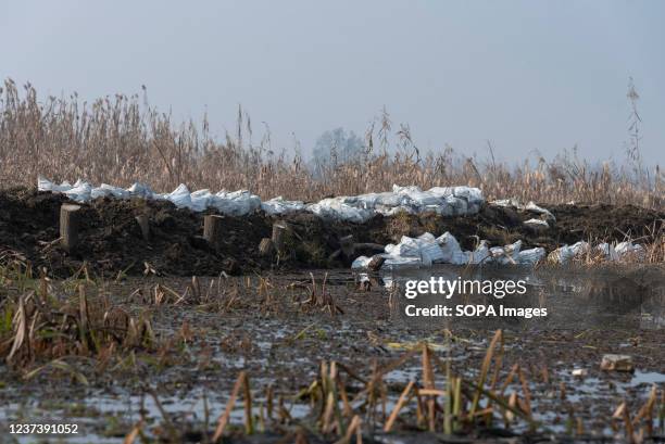 73 Hokersar Stock Photos, HighRes Pictures, and Images Getty Images