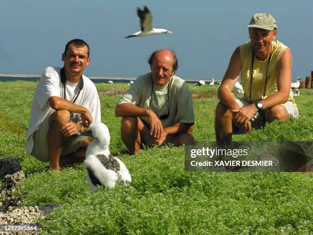 Vue prise en 2005 sur l'atoll de Clipperton, de Jean-Louis Etienne en compagnie de 2 ornithologues, Matthieu Le Corre et Henri Weimerskirch,...