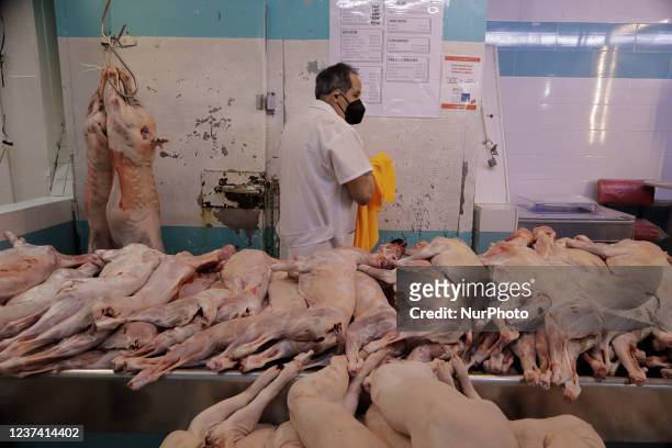 Piglets for sale inside the San Juan Pugibet Market located in the Historic Centre of Mexico City, on the occasion of Christmas during the COVID-19...