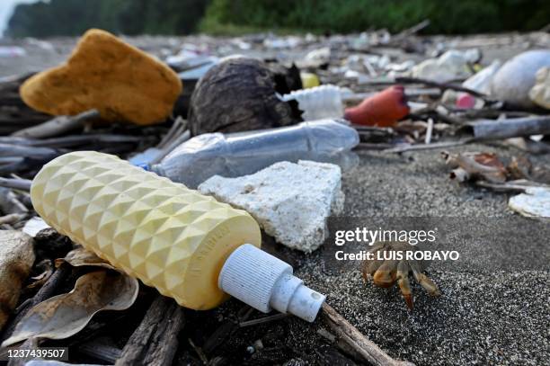 Hermit crab walks on a beach full of plastic pollution in Gorgonilla Island, next to Gorgona Island, in the Pacific Ocean off the southwestern...