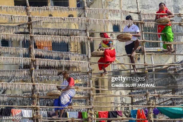 165 Bombay Duck Photos and Premium High Res Pictures - Getty Images 165 Bombay Duck Photos and Premium High Res Pictures - Getty Images