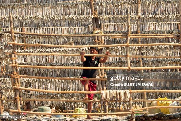 165 Bombay Duck Photos and Premium High Res Pictures - Getty Images 165 Bombay Duck Photos and Premium High Res Pictures - Getty Images