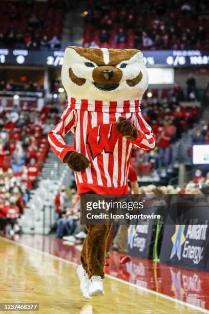 Wisconsin mascot Bucky Badger during a college basketball game between the University of Wisconsin Badgers and the Illinois State University Redbirds...