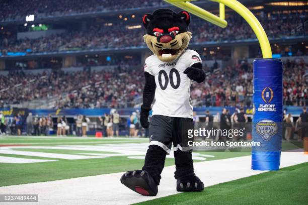 The Cincinnati mascot roams the field during the Goodyear Cotton Bowl between the Alabama Crimson Tide and the Cincinnati Bearcats on December 31,...