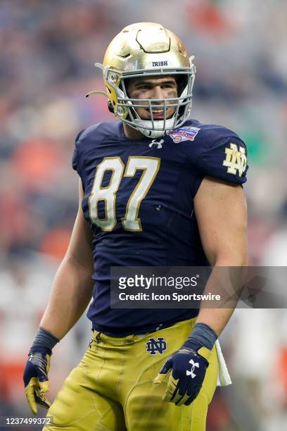 Notre Dame tight end Michael Mayer reacts during the PlayStation Fiesta Bowl between the Notre Dame Fighting Irish and the Oklahoma State Cowboys on...